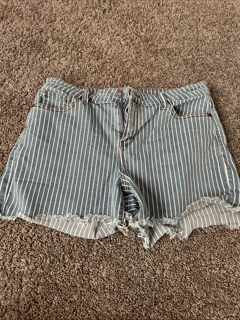 Judy Blue Blue and White Striped Denim Shorts with Frayed Hem